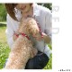 �������ѥ꡼�ɡ�ASHU�������ɥ롼�ץ쥶���꡼�ɡ���������