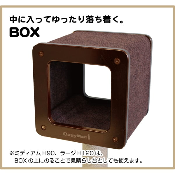 14_000000004753.jpg?1718780958