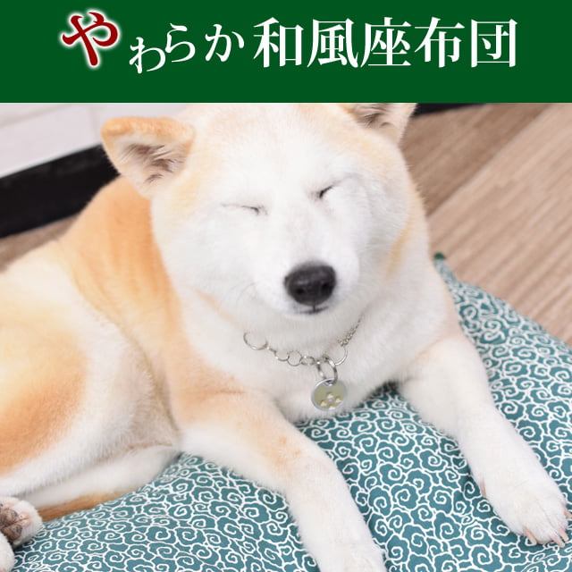 �����ѥ٥åɡ���������ġ�M���С������淿��