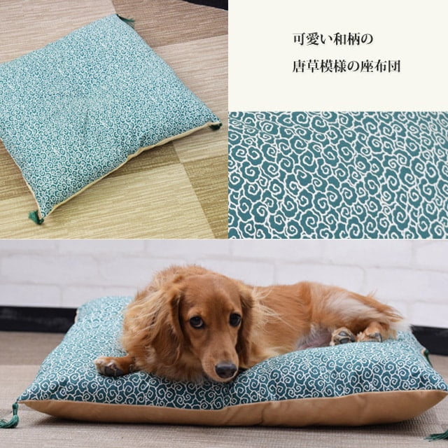 �����ѥ٥åɡ���������ġ�M���С������淿��