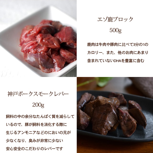 �����ѥ��եȥ��åȡ����������ں�4�糧�å�