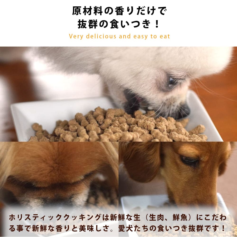 帝塚山ハウンドカム　ホリスティック クッキング ホース　フィッシュ　ドッグフード ホリスティッククッキング ホース｜ドッグフードの通販・帝塚山