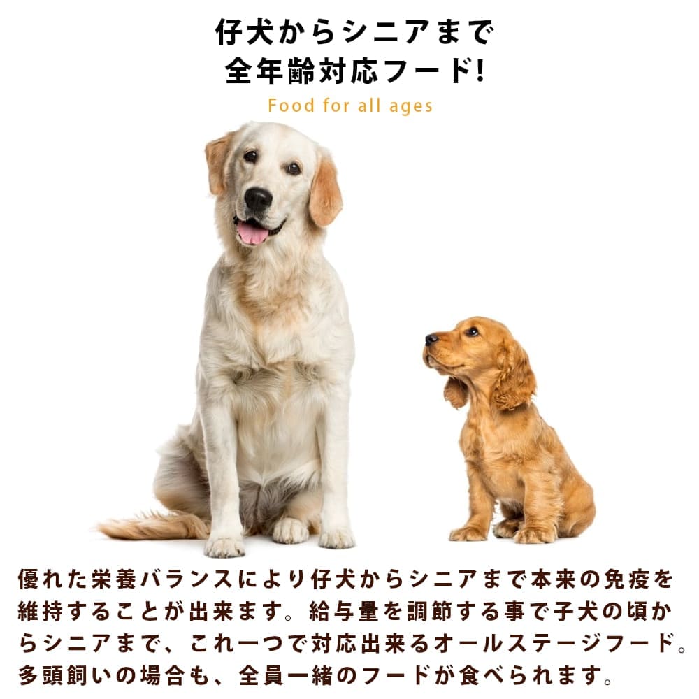 ̵&ޤդۥۥꥹƥåå ۡ 3kg (1kg3)