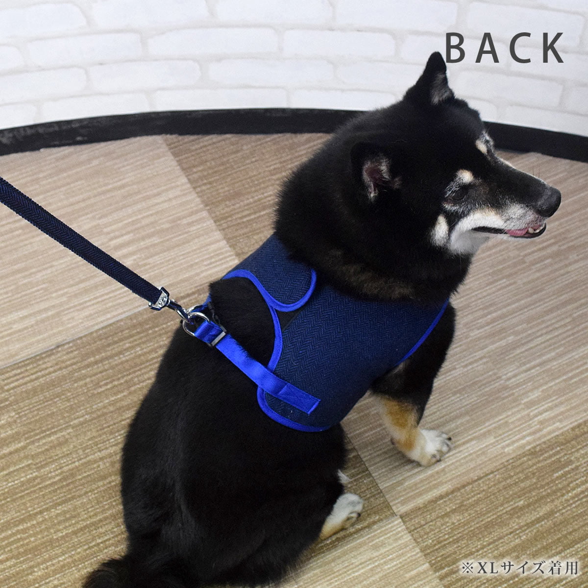 ASHUϡͥ ⡼ɥå LL(淿)