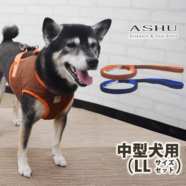 ASHUϡͥ ⡼ɥå LL(淿)