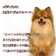 �ڤ�˫���ˡ۰����� ������γ��̵ź�ä���ĥ��å�