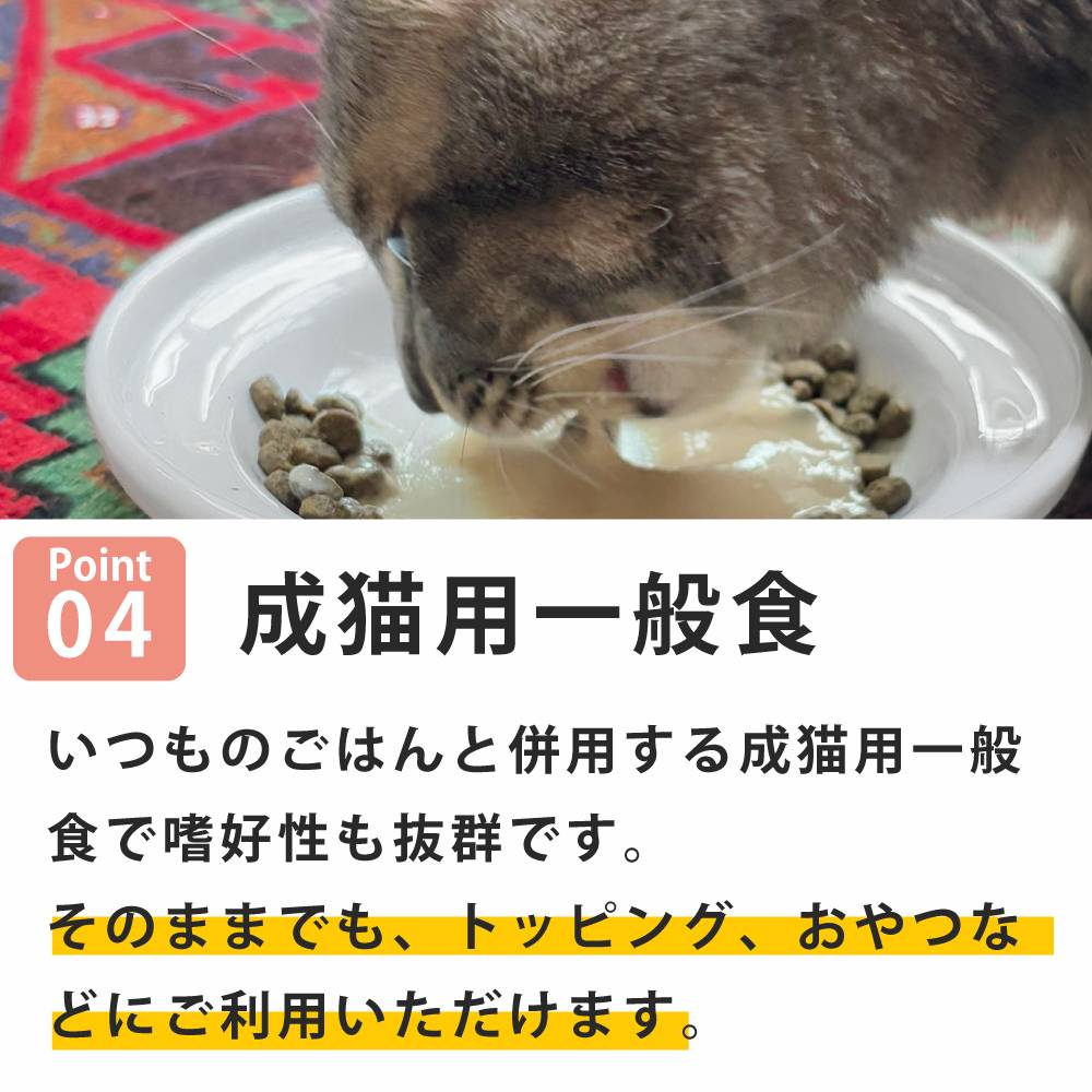 ǭ���ʥ����륳���ɡ�NC�����å륿������N8 �ޥ���������������ꡡ85g����ǭ�ѡ����̿��������ꥢ�֥��ɡ��̵͡ʥݥ������奿���ס�