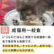 ǭ���ʥ����륳���ɡ�NC�����å륿������N8 �ޥ���������������ꡡ85g����ǭ�ѡ����̿��������ꥢ�֥��ɡ��̵͡ʥݥ������奿���ס�