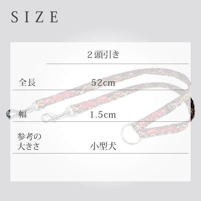 ���ѥ꡼�ɡ�ASHU���ͥ�����Ƭ��������������