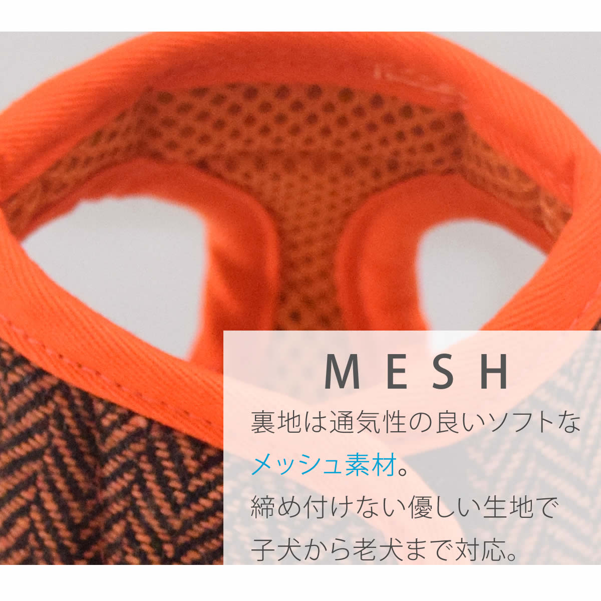 ASHUϡͥ ⡼ɥå XL(淿)