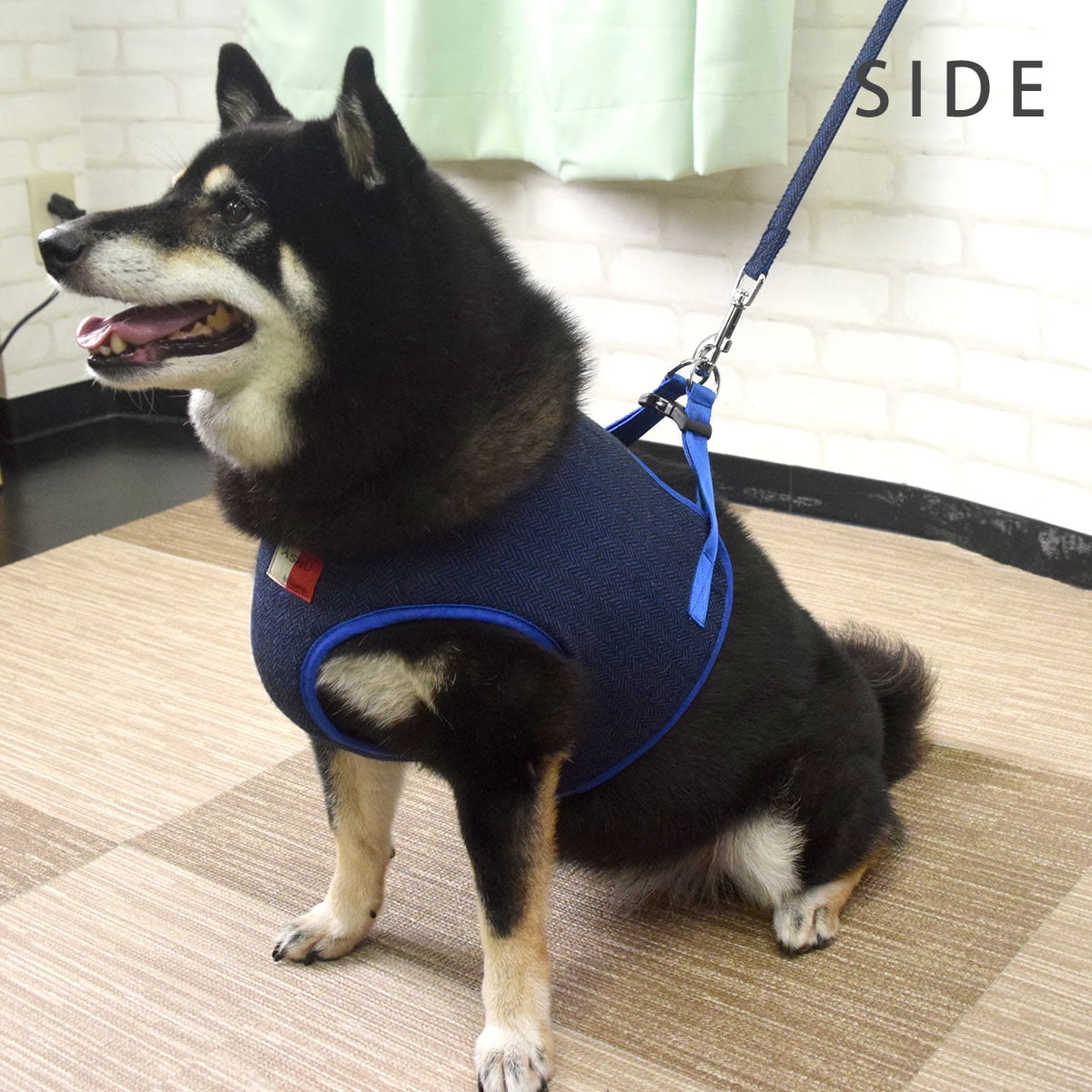 ASHUϡͥ ⡼ɥå XL(淿)