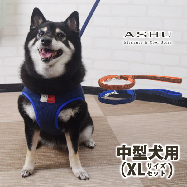 ASHUϡͥ ⡼ɥå XL(淿)