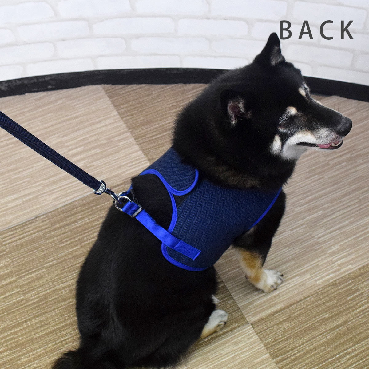 ASHUϡͥ ⡼ɥå XL(淿)