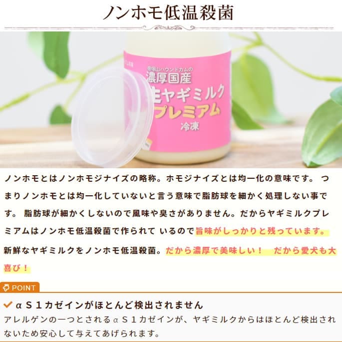 ǭѡǻ䥮ߥ륯 ץߥ 6 