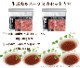 ǭ ץå / ʬȥ졼1kgȥ100g5