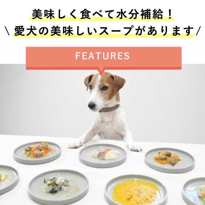 愛犬用手作り食　水分たっぷり美味しいスープ7食セット【ハウンドカム食堂】