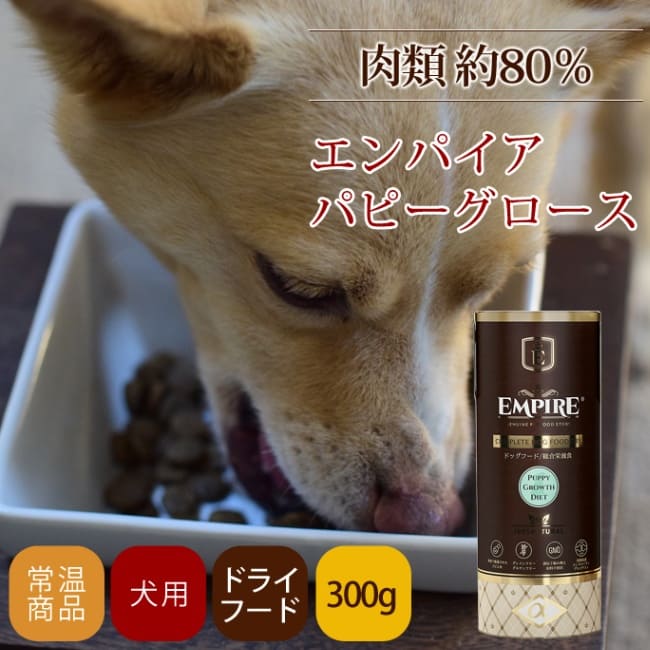 �ɥå��ա��� ����ѥ��� �ѥԡ������������ܥȥ롡300��