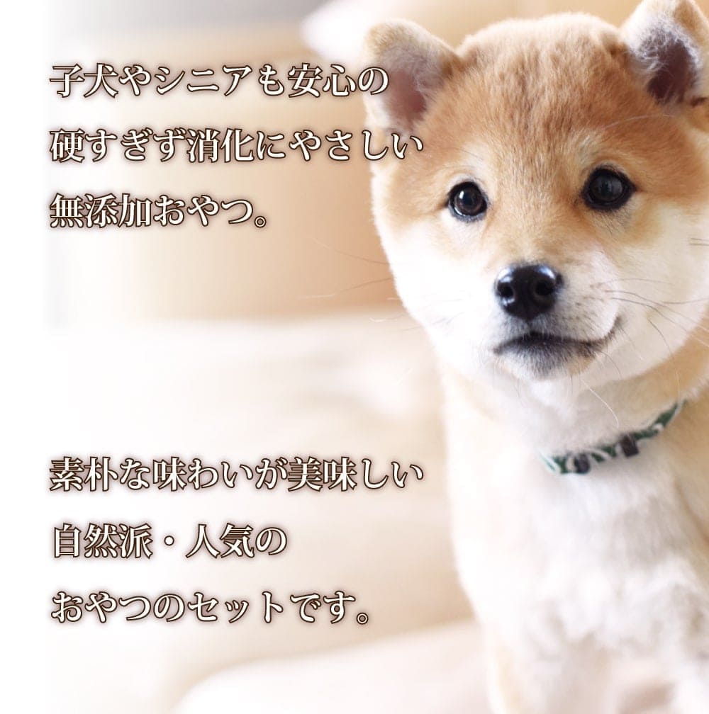 愛犬用 子犬にやさしい安心無添加おやつセット シニアにもおすすめ