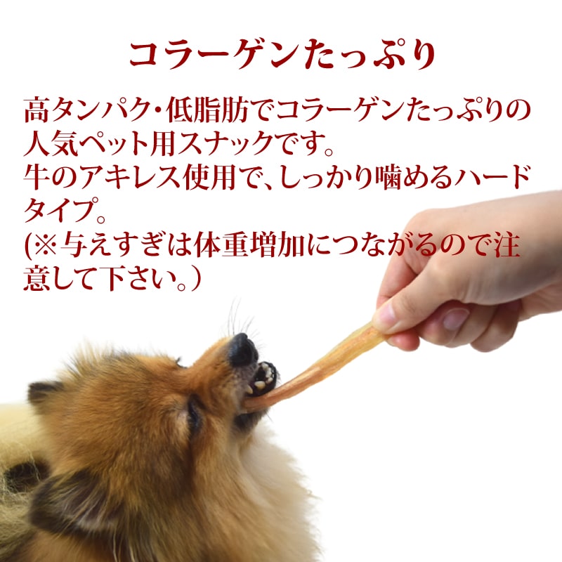 ���ѥ��㡼����  �������쥹���㡼����S   �¿���̵ź�ä���� 1��/5��/10+1��