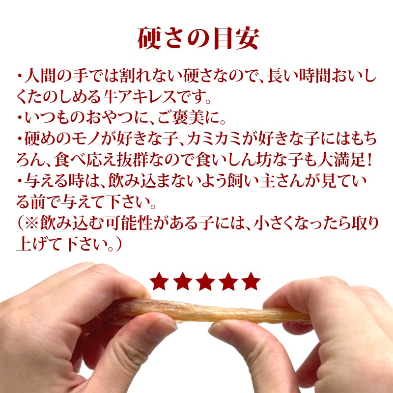 ���ѥ��㡼����  �������쥹���㡼����S   �¿���̵ź�ä���� 1��/5��/10+1��