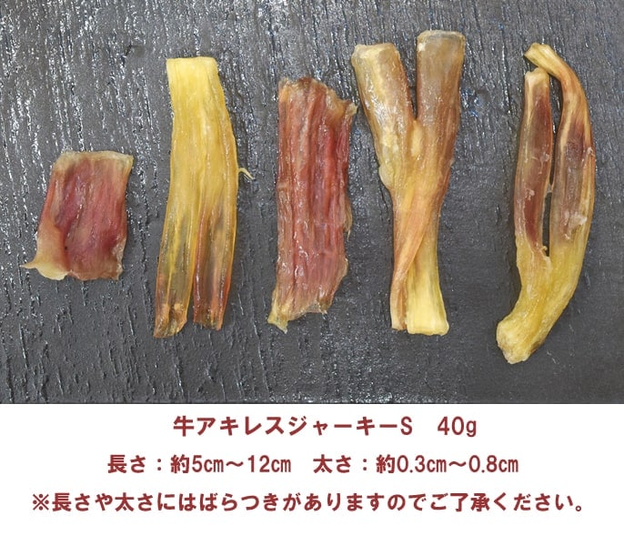 ���ѥ��㡼����  �������쥹���㡼����S   �¿���̵ź�ä���� 1��/5��/10+1��