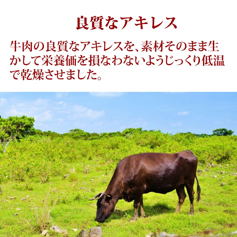 ���ѥ��㡼����  �������쥹���㡼����S   �¿���̵ź�ä���� 1��/5��/10+1��