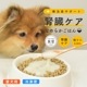  ˡݡ ¡ ʤ餫Ϥ ءۡڥϥɥ࿩Ʋ