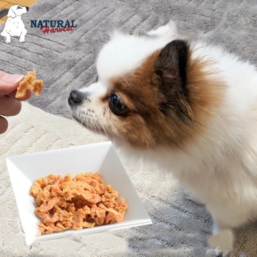 ������ǭ�� �����| �ʥ�����ϡ��٥��� ����ĥ����ߥ�����