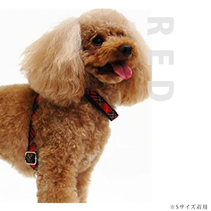 ���ѥϡ��ͥ���ASHU���ȥ�åɡ��ϡ��ͥ���S�����������������淿����