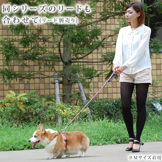 ���ѥϡ��ͥ���ASHU���ȥ�åɡ��ϡ��ͥ���S�����������������淿����