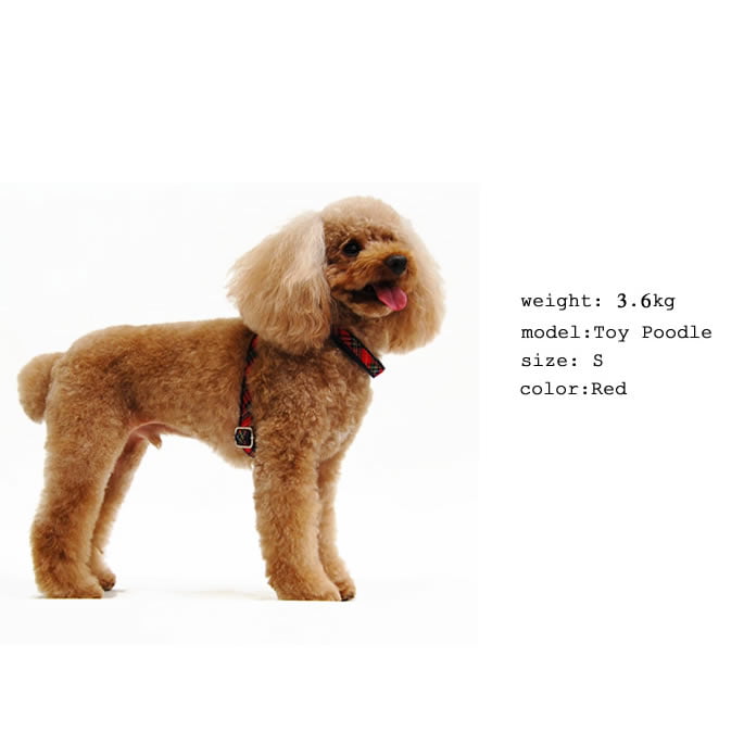 ���ѥϡ��ͥ���ASHU���ȥ�åɡ��ϡ��ͥ���S�����������������淿����