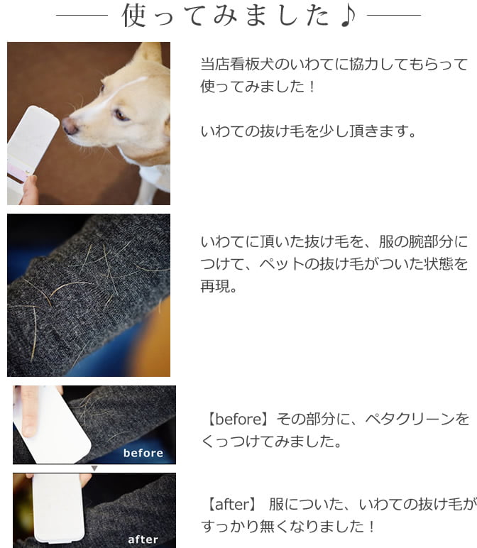 Ǵ奯꡼ʡ ڥ꡼ ڸǭȴӡӡ