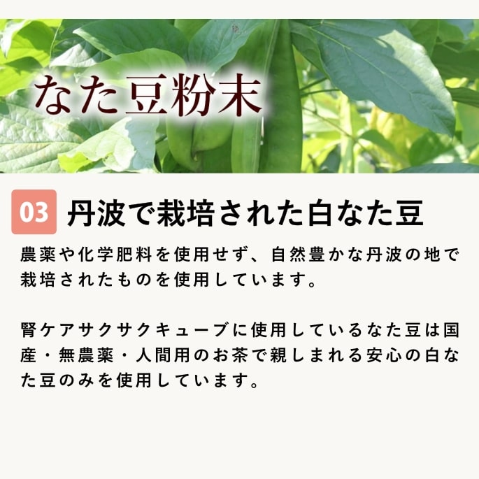 ̵źäġäοե塼60g 1 ҤȤ5