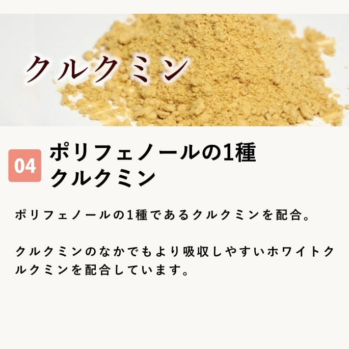 ̵źäġäοե塼60g 1 ҤȤ5