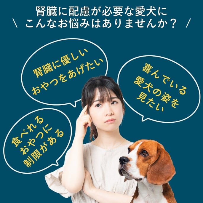 ̵źäġäοե塼60g 1 ҤȤ5