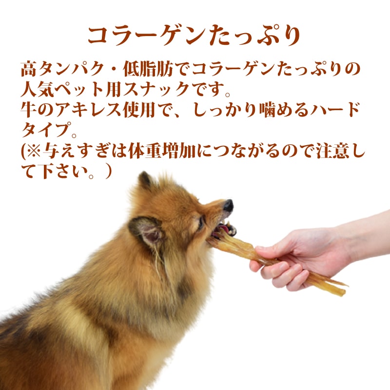 ѥ㡼  쥹㡼L   ¿̵źä 1/5/10+1