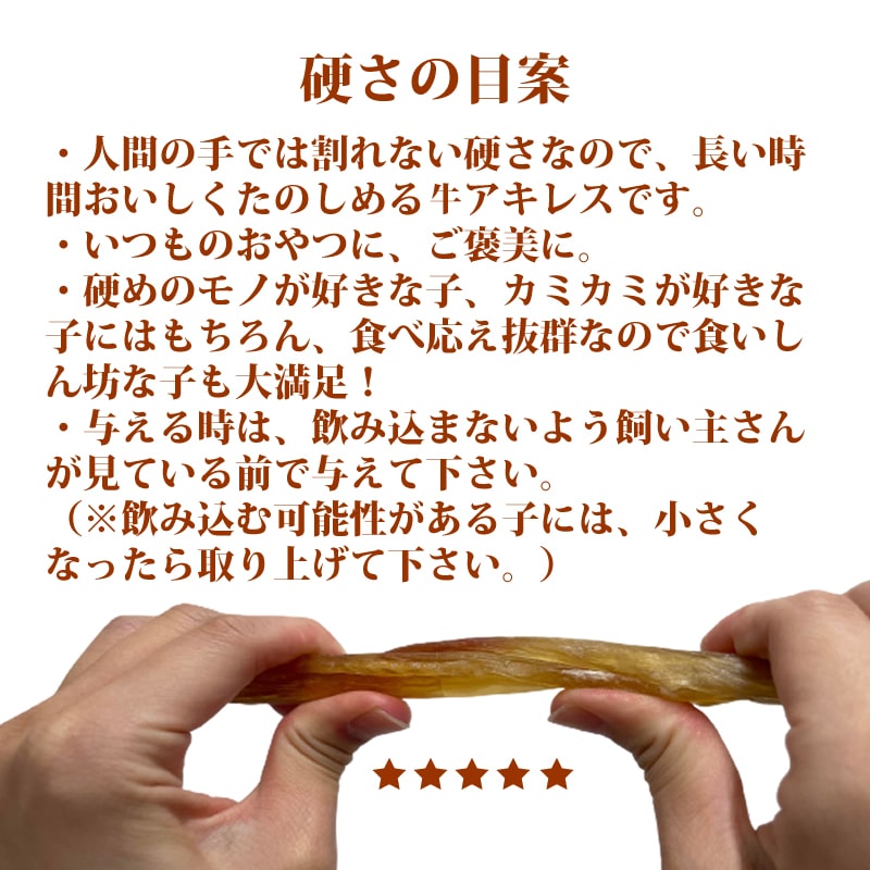 ѥ㡼  쥹㡼L   ¿̵źä 1/5/10+1