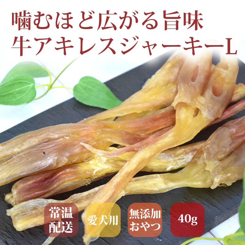 ѥ㡼  쥹㡼L   ¿̵źä 1/5/10+1