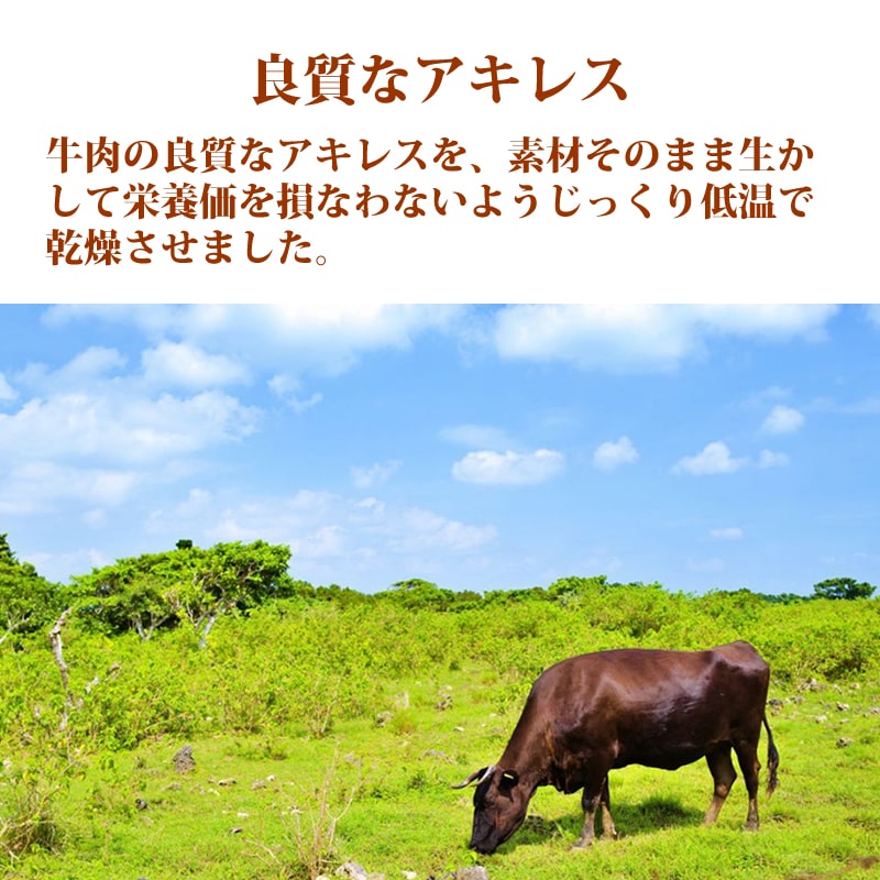 ѥ㡼  쥹㡼L   ¿̵źä 1/5/10+1