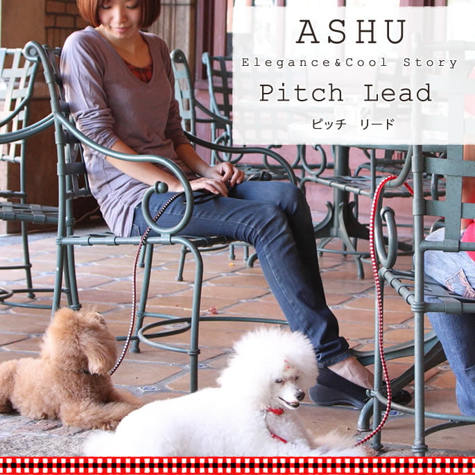 ѥ꡼ɡASHUԥå[꡼]