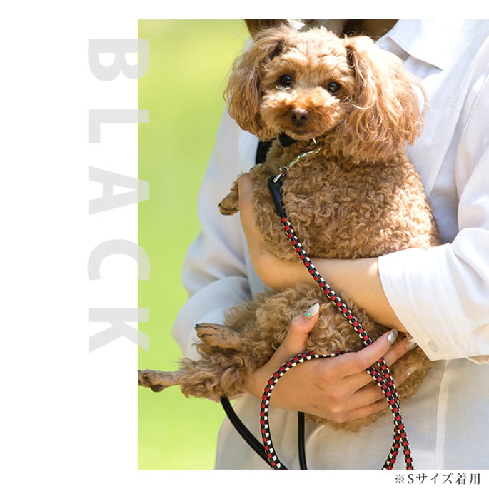 ѥ꡼ɡASHUԥå[꡼]