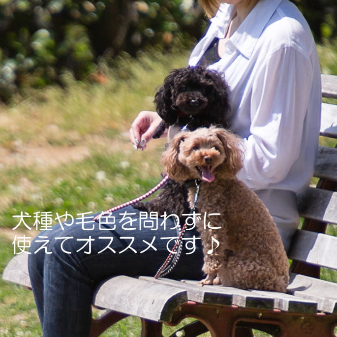 ѥ꡼ɡASHUԥå[꡼]