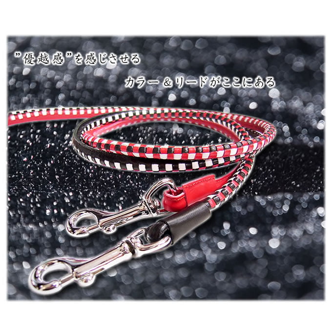 ѥ꡼ɡASHUԥå[꡼]