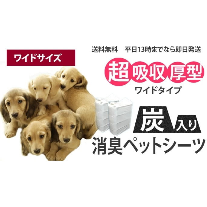 ��Ķ�ۼ�����/ú����ý��͎ߎ��Ď�����/�܎��Ď�40�硡��1�ĸ����ʣ���Ĥ��㤤�夲�ξ�硢���������Ȥʤ�ޤ���