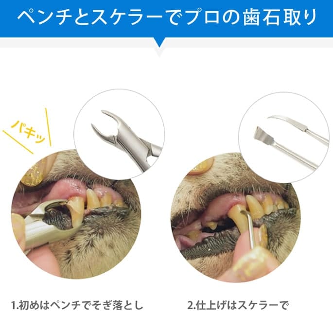 ǭѻмꣳǥ󥿥륵ץꥻåȡa0370ۥڥ顼ǥ󥿥륯꡼2ưʪѰŵ¤ġ26&#8545;101