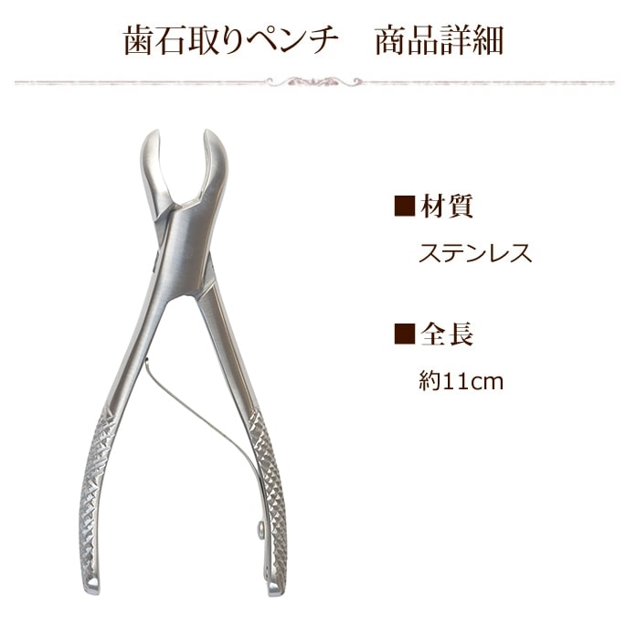 ǭѻмꣳǥ󥿥륵ץꥻåȡa0370ۥڥ顼ǥ󥿥륯꡼2ưʪѰŵ¤ġ26&#8545;101