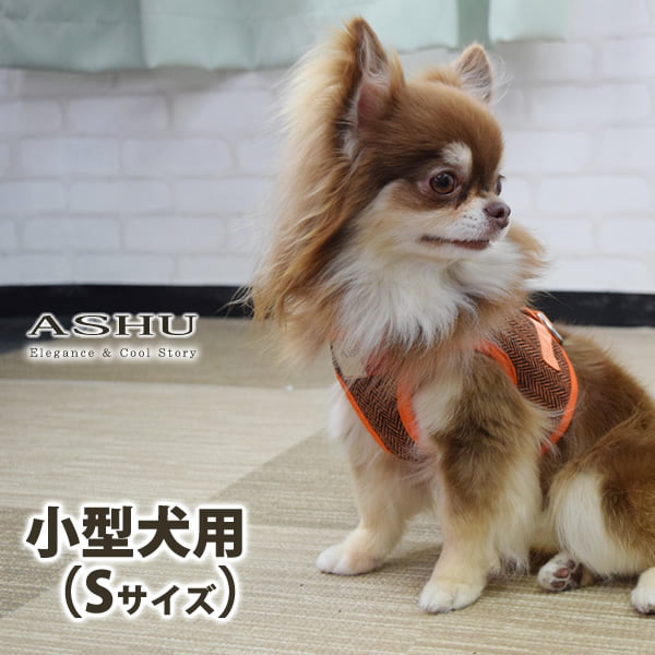 ASHUϡͥ ⡼ S()ڥ꡼ɤ