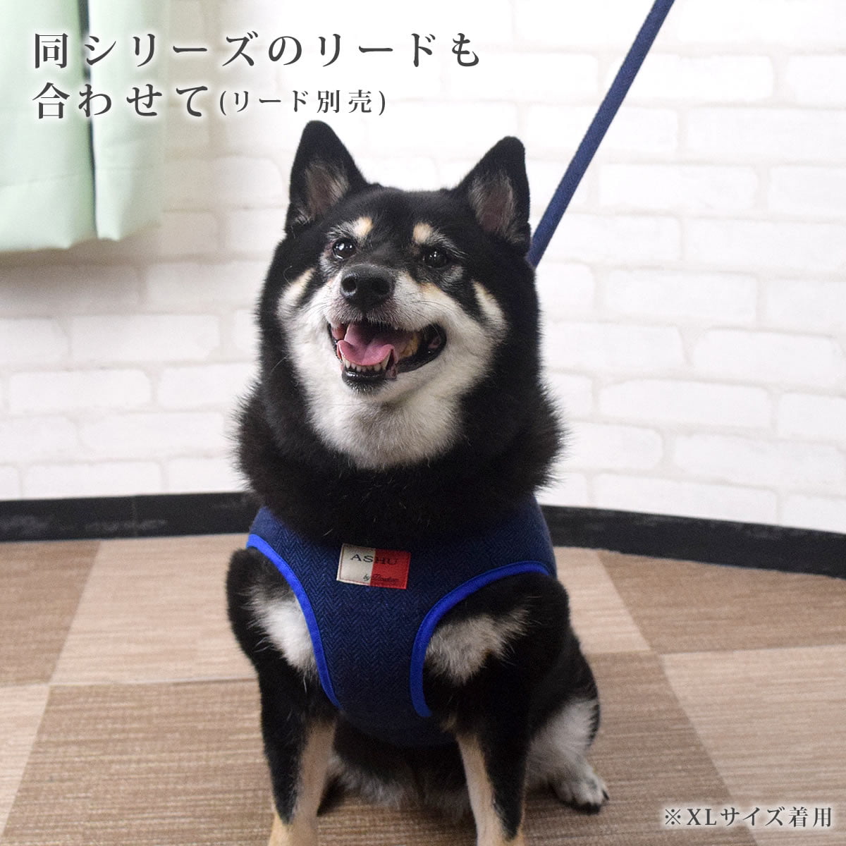 ASHUϡͥ ⡼ S()ڥ꡼ɤ