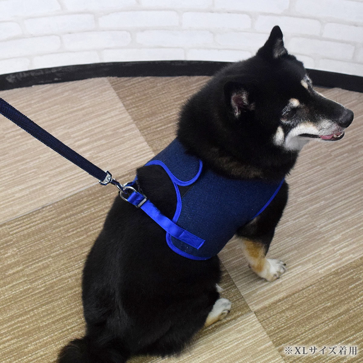 ASHUウェアハーネス 唐草 Sサイズ(小型犬用)