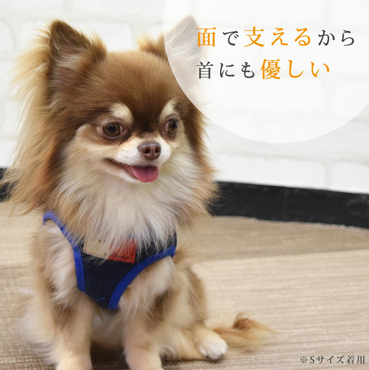 ASHUϡͥ ⡼ S()ڥ꡼ɤ